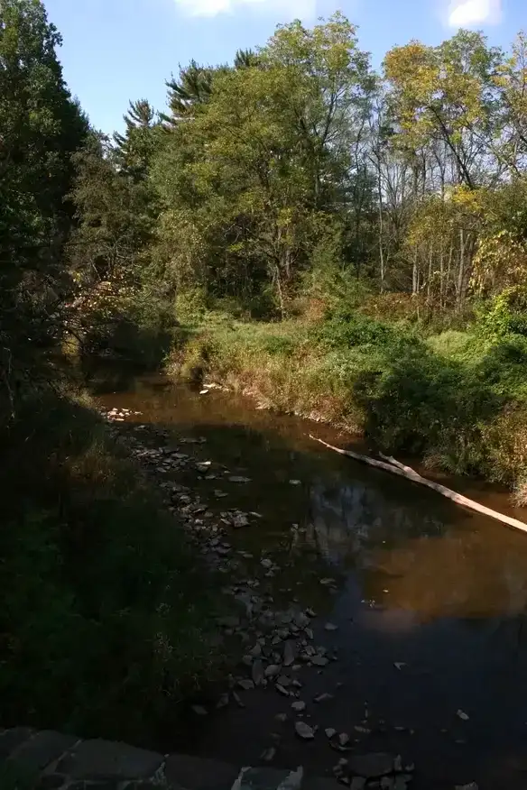 Jacksons Mill Covered Bridge in Breezewood